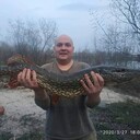  ,   , 45 ,   
