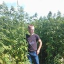 ���������� �������, ���� ������� �����, 35 ���, ������������ ��� ����� � ���������, c�������� ���������