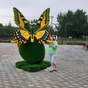  ,   , 41 ,   ,   