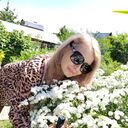 ���������� ������������, ���� ������� ���������, 42 ����, ������������ ��� ������, ����� � ���������