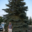 ���������� ���������, ���� ������� ���������, 55 ���, ������������ ��� ������, ����� � ���������