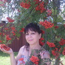  ,   , 62 ,     , c 