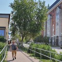 ���������� �����, ���� ������� Murat, 33 ����, ������������ ��� ������, ����� � ���������