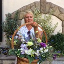 ���������� �����-���������, ���� ������� ������, 66 ���, ������������ ��� ������, ����� � ���������, c�������� ���������