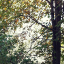 ���������� ������������, ���� ������� �����, 32 ����, ������������ ��� ������, ����� � ���������, c�������� ���������