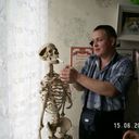  ,   , 55 ,  