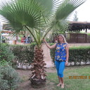 ���������� ������ ��������, ���� ������� �����, 45 ���, ������������ ��� ����� � ���������, c�������� ���������