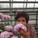 ���������� ������, ���� ������� ���������, 59 ���, ������������ ��� ����� � ���������, c�������� ���������