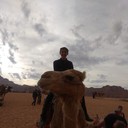 ���������� ������, ���� ������� �����, 36 ���, ������������ ��� ����� � ���������, c�������� ���������