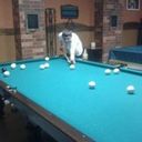  ,   Kasper, 30 ,   ,   , c 