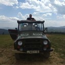 ���������� ������, ���� ������� �������, 36 ���, ������������ ��� ������, ����� � ���������, c�������� ���������