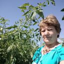  ,   , 60 ,   c , 