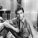 ���������� ����, ���� ������� ���������, 40 ���, ������������ ��� ������