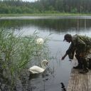 ���������� ������, ���� ������� �������, 62 ����, ������������ ��� ������, ����� � ���������, c�������� ���������