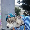  ,   , 34 ,   ,   , c , 