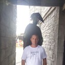  ,   , 43 ,   ,   