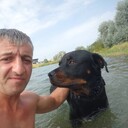 ���������� �����������, ���� ������� �����, 43 ����, ������������ ��� c�������� ���������, ���������