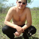  ,   Kot, 36 ,   