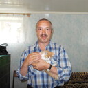  ,   , 62 ,     , c 