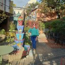 ���������� ������, ���� ������� ����, 41 ���, ������������ ��� ����� � ���������, c�������� ���������