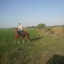 ���������� ������, ���� ������� Ho���, 31 ���, ������������ ��� ������, ����� � ���������