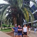 ���������� ����, ���� ������� ���������, 39 ���, ������������ ��� ������, ����� � ���������