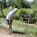 ���������� ������, ���� ������� �������, 46 ���, ������������ ��� ������, ����� � ���������