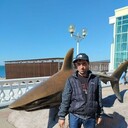 ���������� ���������, ���� ������� ����, 43 ����, ������������ ��� ������, ����� � ���������