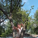 ���������� ����, ���� ������� ����, 38 ���, ������������ ��� ������