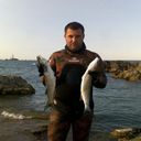 ���������� ����, ���� ������� �����, 44 ����, ������������ ��� ������, ����� � ���������, c�������� ���������