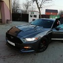 ���������� �������, ���� ������� �����, 41 ���, ������������ ��� ������, ����� � ���������, c�������� ���������