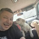 ���������� ������, ���� ������� ������, 40 ���, ������������ ��� ������, ����� � ���������