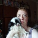  ,   , 52 ,   ,   