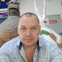  --,   , 41 ,   ,   , c 