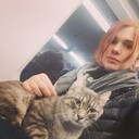 ���������� ������, ���� ������� �����, 33 ����, ������������ ��� ������