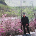  ,   , 65 ,     , c 