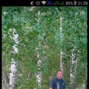 ���������� ������, ���� ������� ������, 46 ���, ������������ ��� ������, ����� � ���������, c�������� ���������, ���������