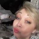  ,   , 50 ,   ,   