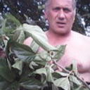 ,   GURAMI, 59 ,   ,   , c 