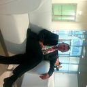 ���������� ������������, ���� ������� �������, 50 ���, ������������ ��� ������, ����� � ���������, c�������� ���������