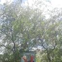 ���������� ���������, ���� ������� ������, 46 ���, ������������ ��� ������, ����� � ���������, c�������� ���������, ���������