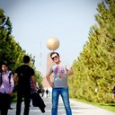 ���������� ������, ���� ������� 87716328335, 35 ���, ������������ ��� ������