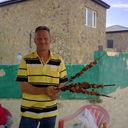  ,   , 61 ,   , 