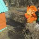 ���������� �����, ���� ������� ����������, 33 ����, ������������ ��� ������, ����� � ���������, c�������� ���������