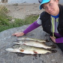  ,   , 58 ,   ,   , c 