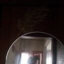  ,   Basil, 24 ,   ,   