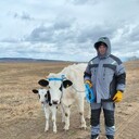 ���������� ������� ����, ���� ������� ������, 30 ���, ������������ ��� c�������� ���������