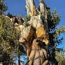 ���������� ����, ���� ������� Nikolay, 38 ���, ������������ ��� ������