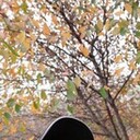 ���������� �����, ���� ������� �������, 31 ���, ������������ ��� ������, ����� � ���������, c�������� ���������