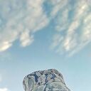 ���������� ���������, ���� ������� �����, 35 ���, ������������ ��� ������, ����� � ���������